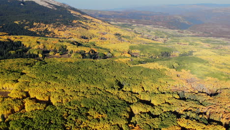 Stunning-bright-bluebird-sun-flare-morning-autumn-Aspen-tree-forest-fall-golden-yellow-colors-Kebler-Pass-aerial-cinematic-drone-Crested-Butte-Gunnison-Colorado-Rocky-Mountains-right-motion-reveal-up