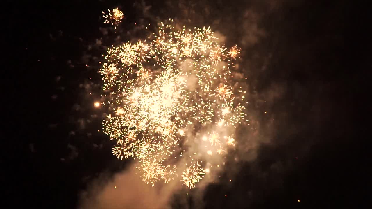 Fireworks Display in the Night Sky