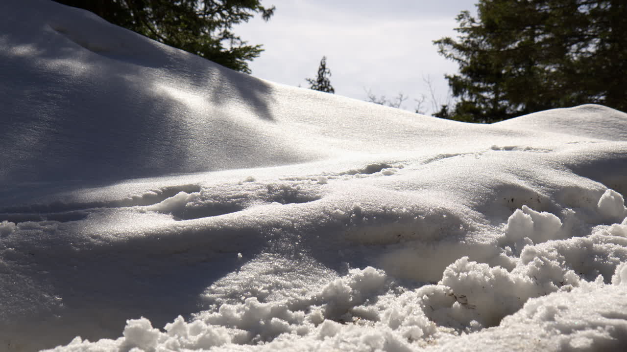 Snow-Blanket Nature On The Mountains Of Berchtesgaden National Park In Germany. Close-up Shot