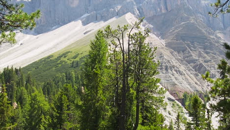 beautiful view onto mountains in south tyrol, italy