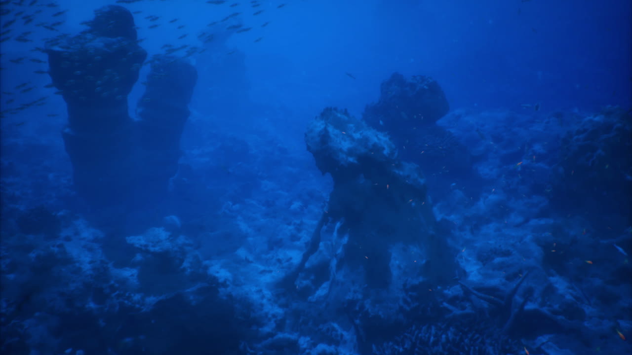 Exploring an underwater landscape with vibrant marine life and corals