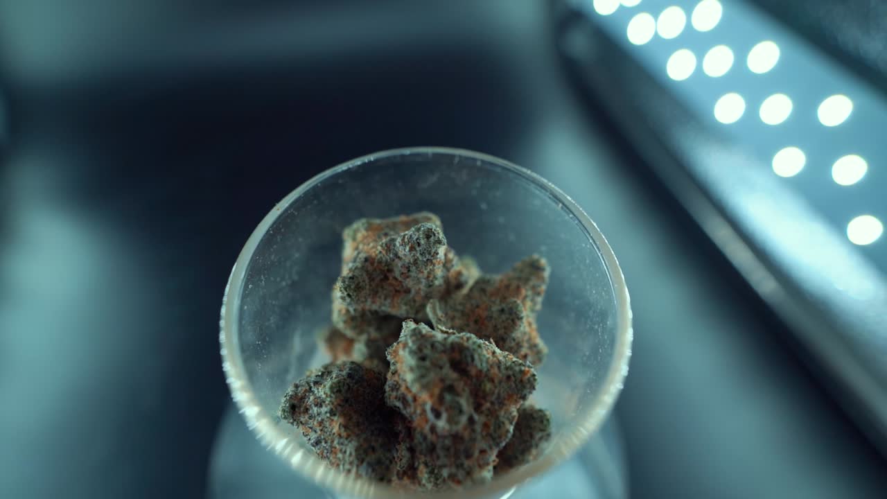 Una ripresa cinematografica dettagliata e fluida, dall'alto verso il basso, con movimento di zoom out tramite gru, di una pianta di cannabis, varietà ibride arancioni, tipo Indica, fiore di marijuana verde, slow motion a 120 fps, luci LED da studio, vetro trasparente.