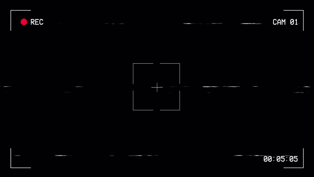 Digital Camcorder Recording Interface With Glitch Effects