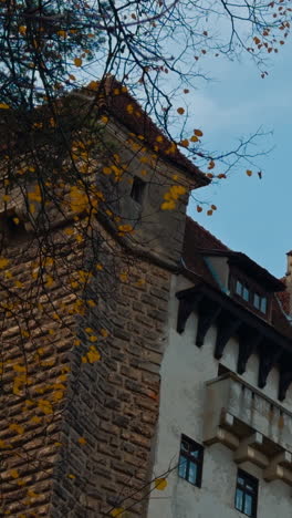 beautiful fasade of bran castle in romania. low angle view on the building and trees with little foliage. vertical video