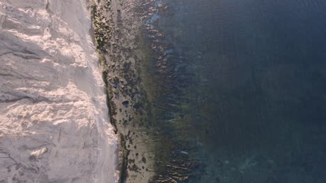 Costa-Patagónica-Con-Acantilados,-Rocas,-Playa-De-Arena-Y-Mar---Vista-Aérea-De-Arriba-Hacia-Abajo