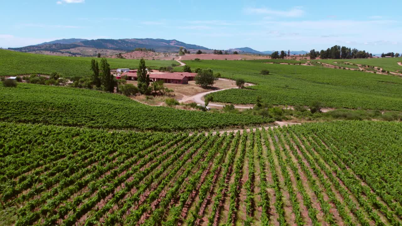 Veduta aerea di Cauquenes nella Valle del Maule, ricca di vigneti verdi, Cile