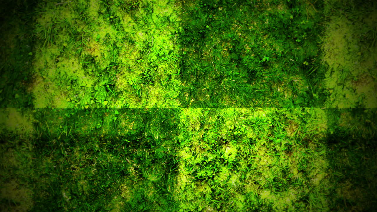 textura de musgo verde exuberante naturalezas alfombra de terciopelo