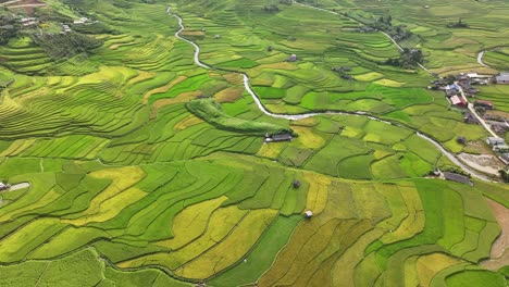 vista aérea de las terrazas de arroz en mu cang chai, vietnam