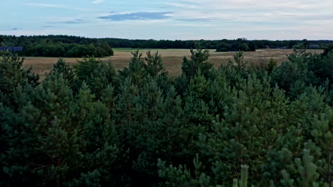 slowly moving over treetops towards a field
