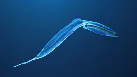 ethereal transparent fish swimming in deep blue water