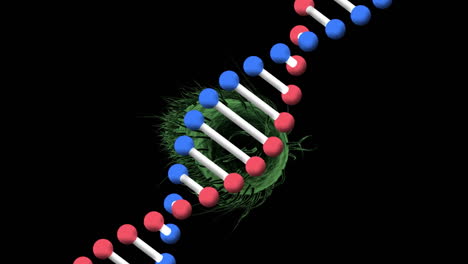 animation of dna strand rotating over green covid 19 cell on black background