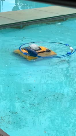 pool cleaner in action