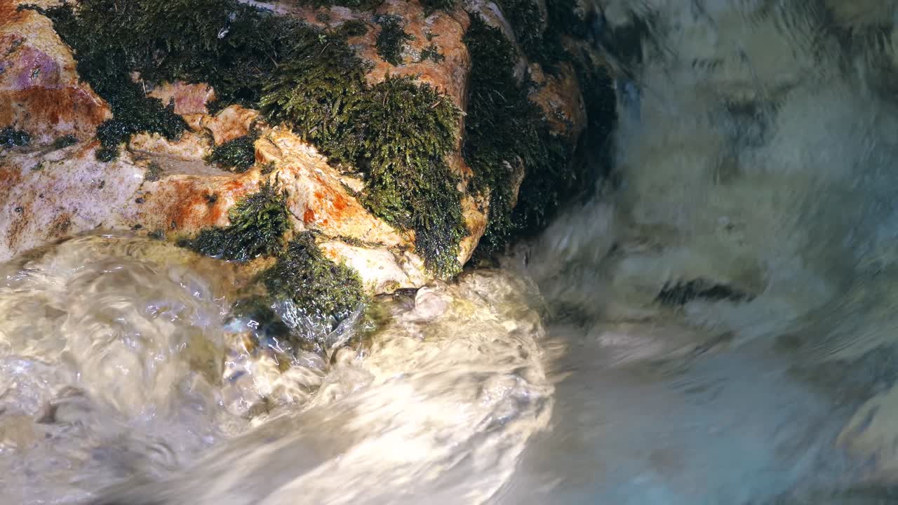 산악 강의 흐름이 해조류로 인 바위 위로 흐르는 조용한 클로즈업, 렌슈타트 (wallenstadt) 의 조용한 위치에서 설정