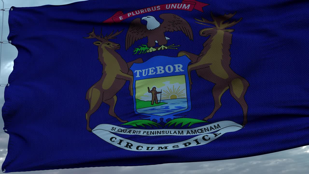 미시간의 발은 깊은 아름다운 구름 하늘에 대항하여 바람에 흔들리고 있습니다.