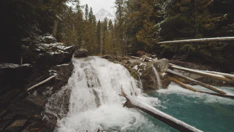 pristine waterfalls cascade in the middle of the forest in mt