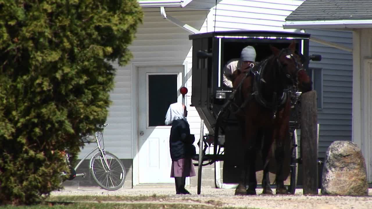 말과 마차를 타고 여행을 준비하는 아미시 소년 소녀