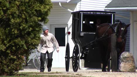 an amish boy and girl prepare to travel via their horse and buggy