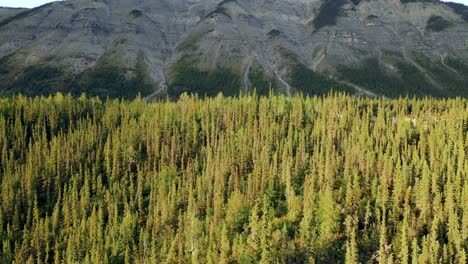 Fast-drone-lift-reveals-a-large-mountain-forest-of-a-big-Rocky-Mountain-with-a-descending-slope-in-British-Columbia,-Canada