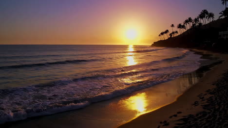 golden sunset over a tropical beach with palm trees and waves