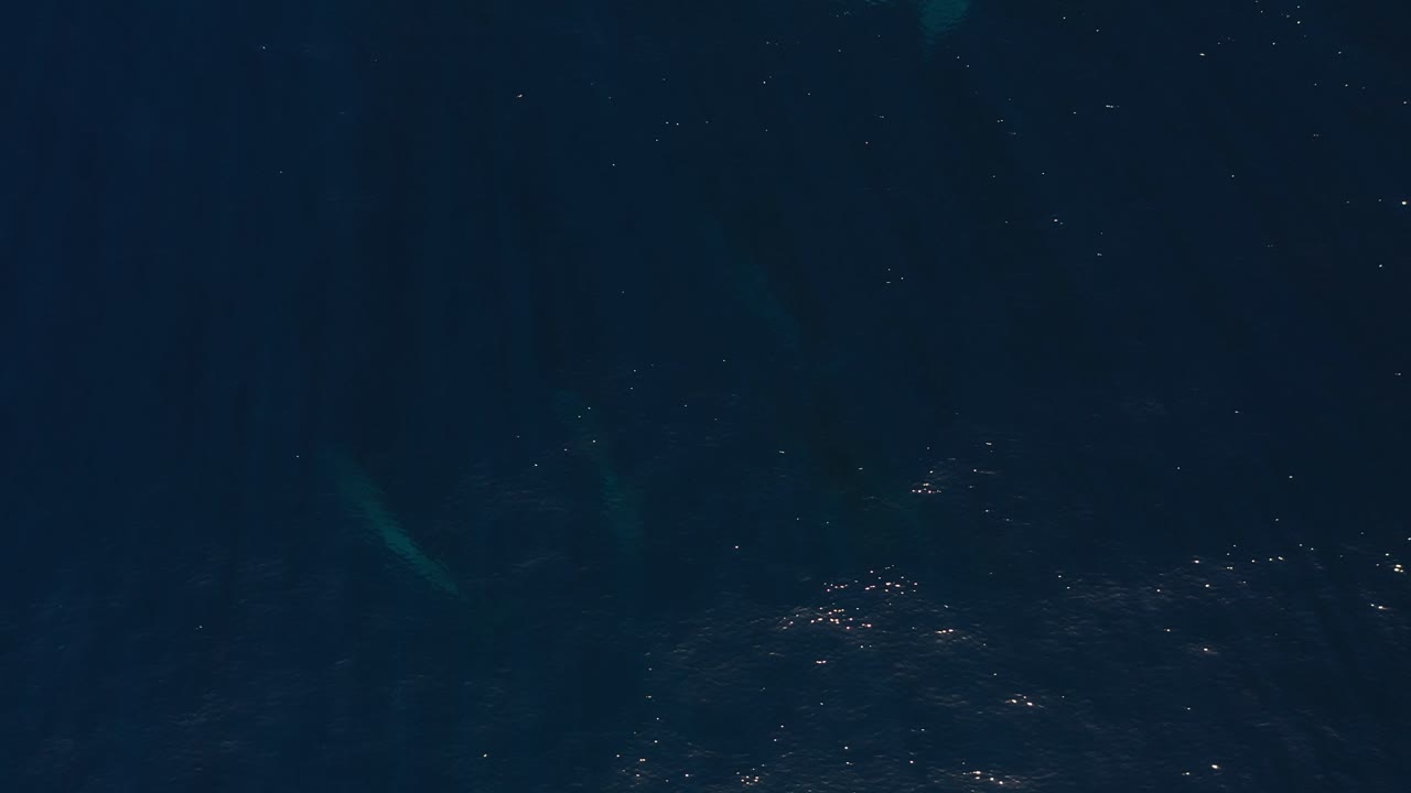 Un gruppo di balene megattere sta nuotando appena sotto la superficie, rendendole sfocate.