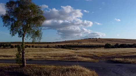 Slow-Motion-Aerial-View-of-Alentejo---Portugal:-Serene-Beauty-of-a-Wheat-Field-Nestled-Amongst-Trees