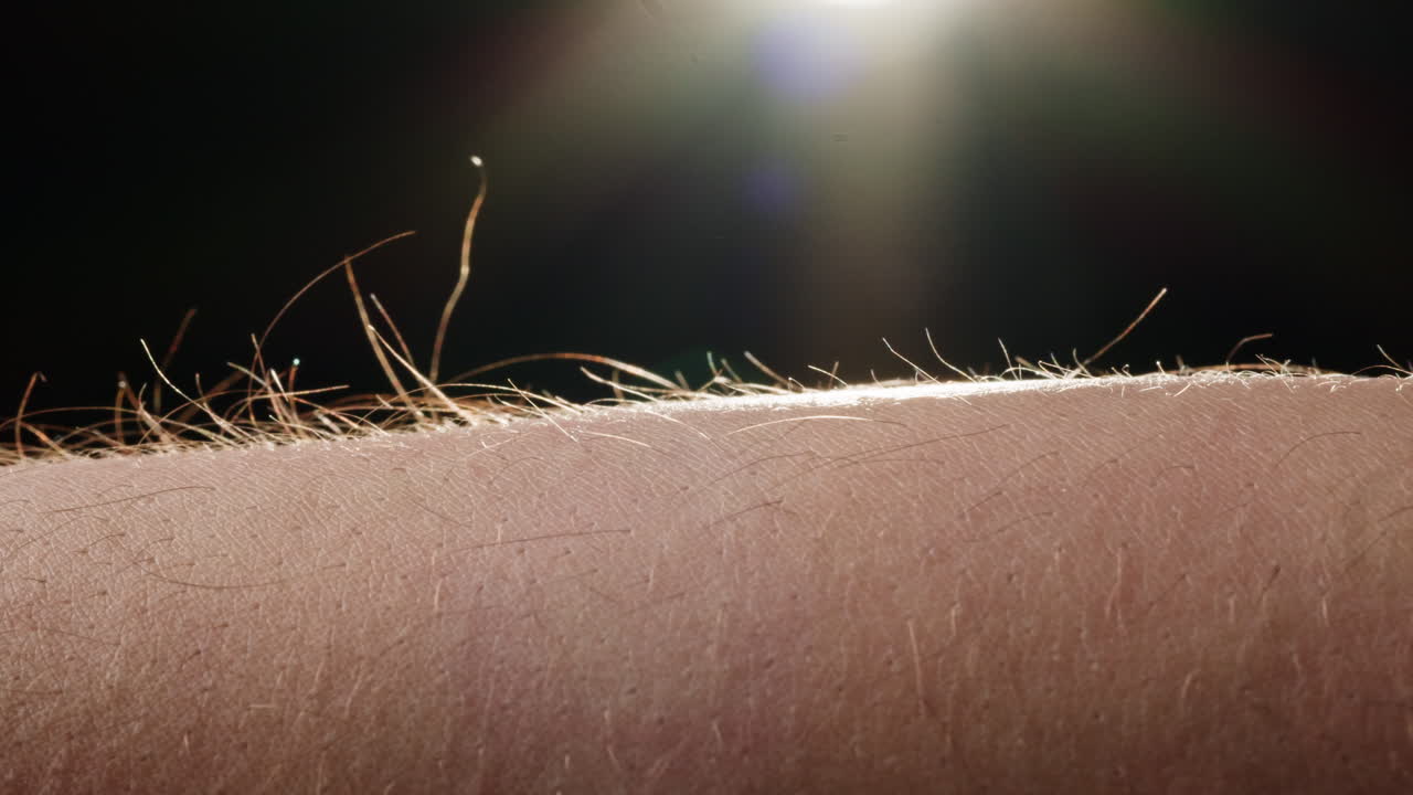 Close-up of Human Arm with Fine Hair