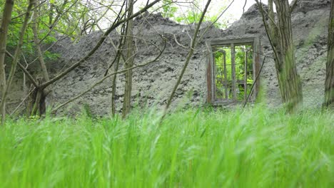 ventana de una antigua cabaña abandonada y destruida en el bosque la cámara se mueve lentamente hacia la derecha