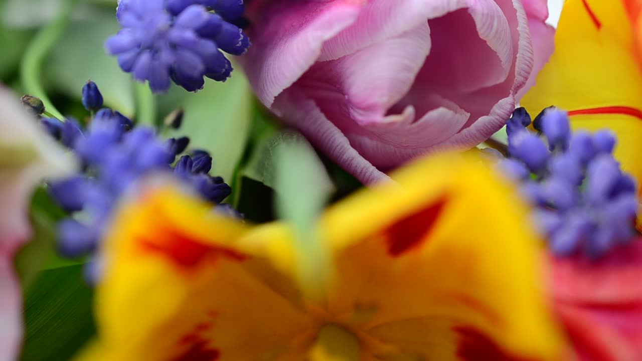 Leuchtende Frühlingsblumen. Aufnahme eines Blumenstraußes.