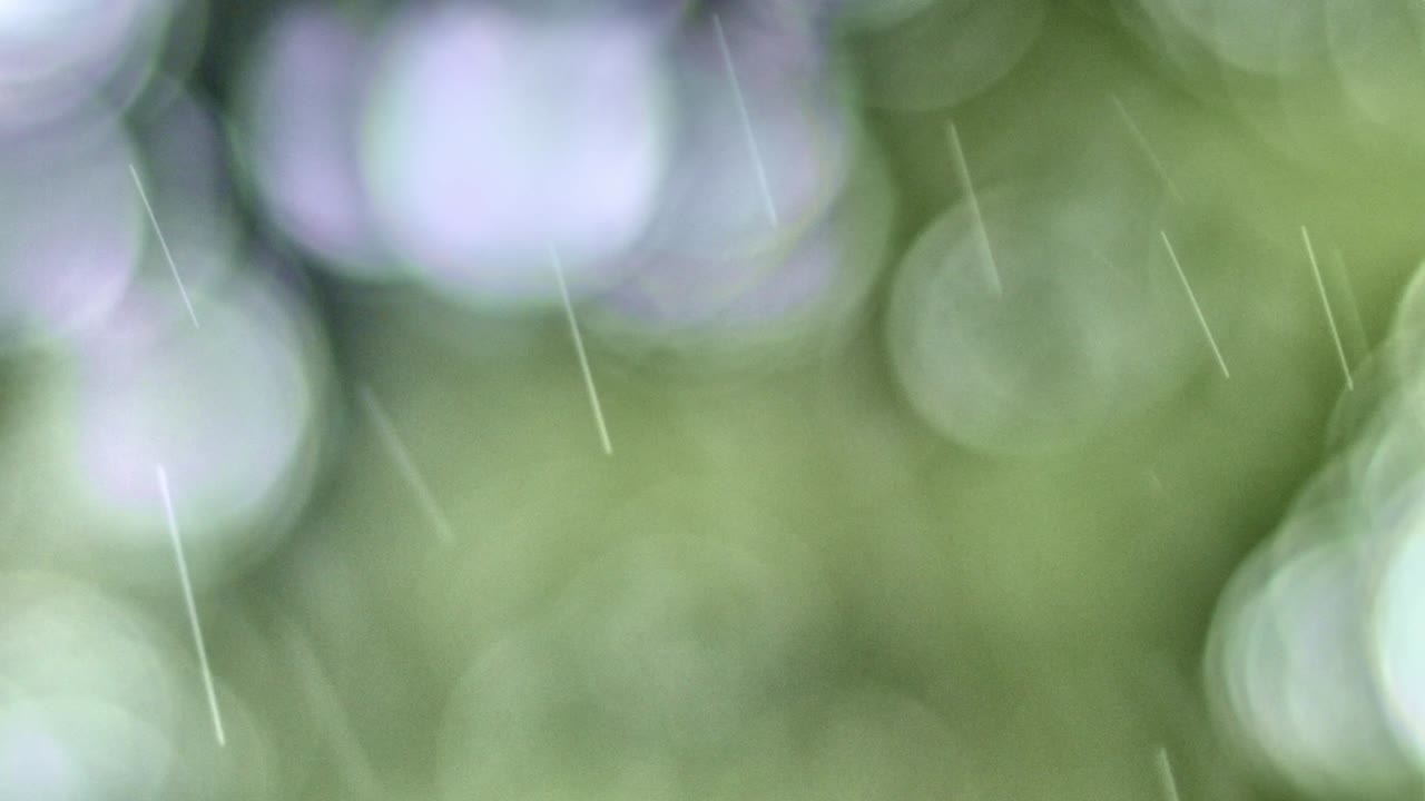 공기는 무서운 비가 내리는 동안 끊임없는 드럼 소리로 두꺼워집니다.