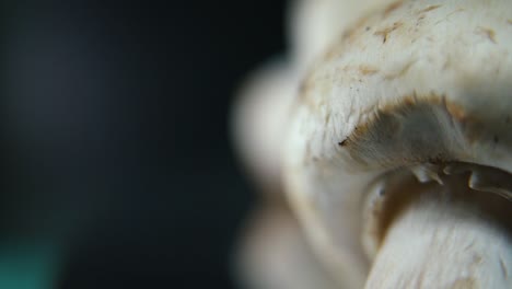 Macro-crisp-video-of-a-pile-of-mushrooms,-detailed-RAW-champignons,-white-caps-reflection,-on-a-rotating-stand,-smooth-movement,-slow-motion-120-fps