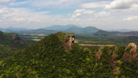montañas y colinas con bosque. sri lanka.