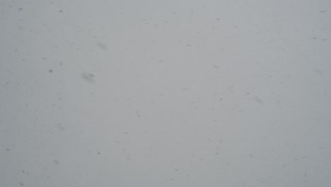 nieve cayendo fondo de cielo borroso