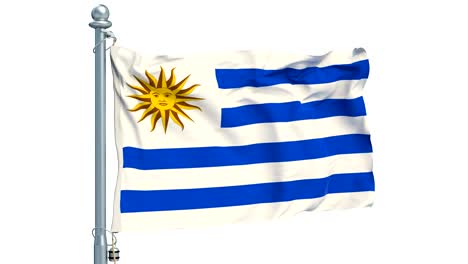 uruguayan flag waving on white background, animation. 3d rendering