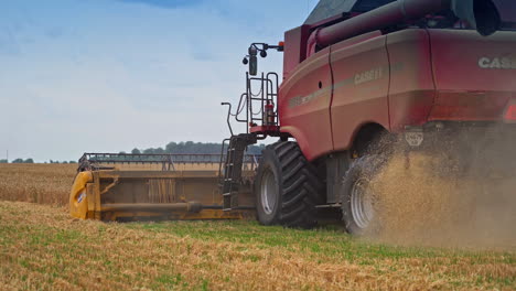 combine harvester cutting ripe crops. big red machine moving away from the camera leaving the clouds of dust and pieces of straw.