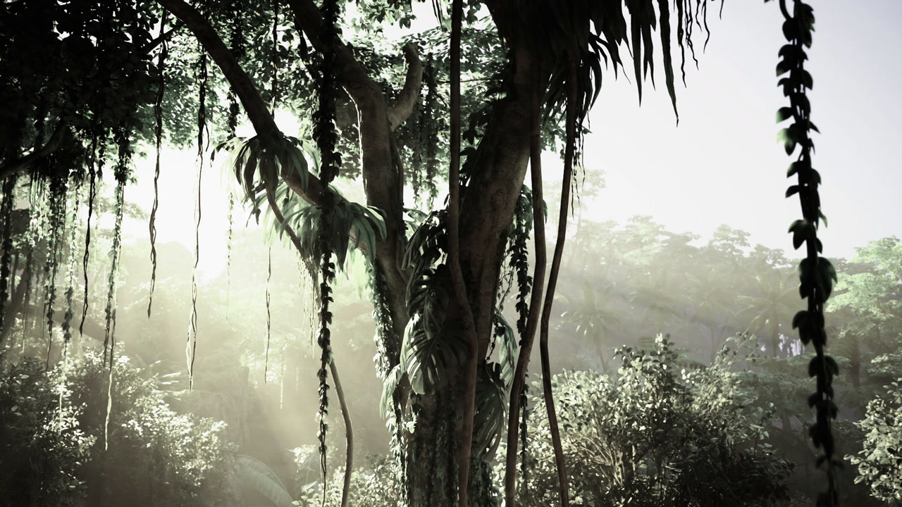 Ethereal backlit forest with hanging vines and moist foliage creating depth