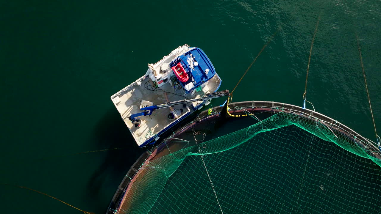 granja de salmón, red de acuicultura, gestión de criaderos, vista a ojo de pájaro