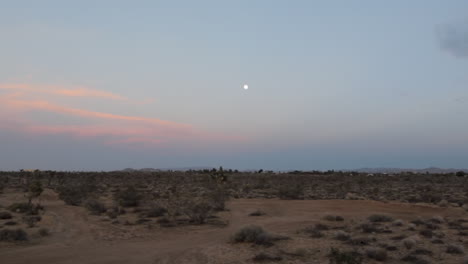 desert landscape at night, moon