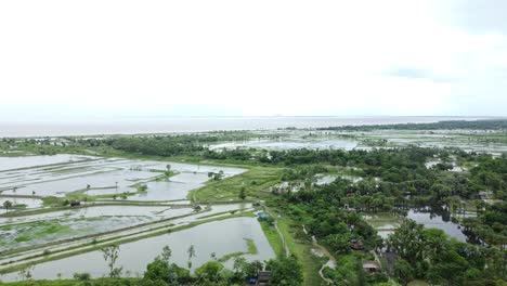 As-a-result-of-heavy-rains,-various-fields-of-West-Bengal-along-the-banks-of-the-Ganges-were-submerged