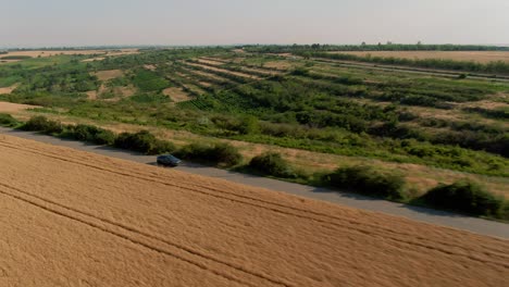 Aerial-revealing-shot,-of-a-grey-luxury-SUV-Sport-car,-driving-on-a-country-tarmac-road,-surrounded-by-golden-wheat-fields