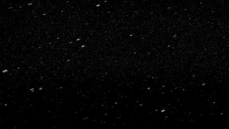 animation of snow falling on black background