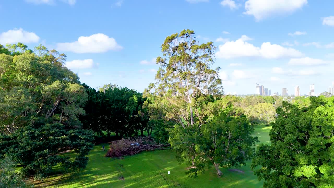 Drone footage captures lush parkland transitioning to Gold Coast skyline under bright daylight, showcasing nature and urban contrast