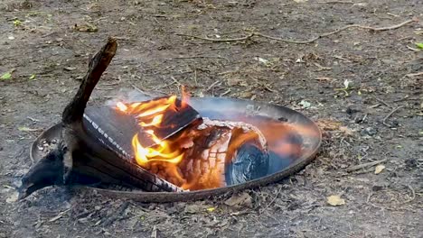 Closeup-of-a-campsite-fire-pit-with-a-full-log-section-burning