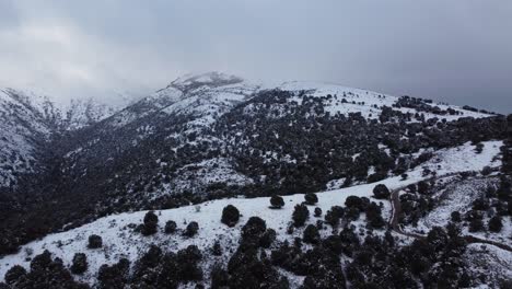 winter wonderland, snowy mountain in monte linas natural park, aerial drone