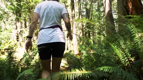 mujer excursionista camina a través de exuberantes y densos helechos forestales