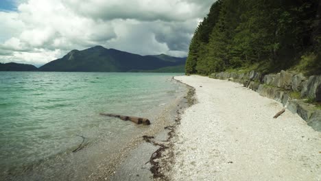 walking along beach of mountain lake surrounded by beautiful nature