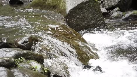 Schwarze-Gummisandalen-Trieben-Im-Felsenfluss