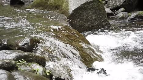 black sandals made of rubber drifted in the river of rocks