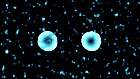 binary fission transparent cell division 3d blue motion graphic video