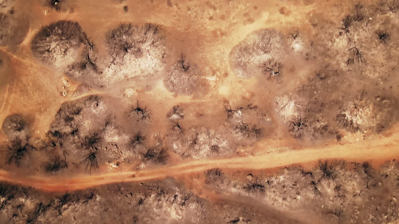 Aerial drone view of the consequences of fires in Greece. Burned vegetation, ash and coal. Slow motion