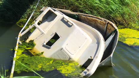 windy day at a bright green swamp lake with an abandoned boat, abandoned ship in a pond lake with moss in marbella spain